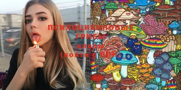 прущие грибы Алзамай