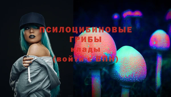 ГАЛЛЮЦИНОГЕННЫЕ ГРИБЫ Переславль-Залесский